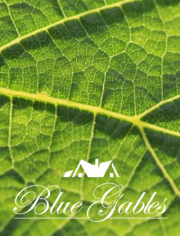 Blue Gables Vineyard